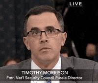 news impeachment impeachment inquiry tim morrison no well GIF