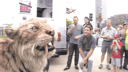 saber-toothed cat GIF