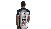 Team Volleyball Sticker by Trentino Volley