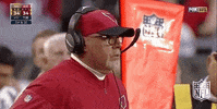 Arizona Cardinals Football GIF by NFL