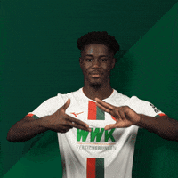 Happy Football GIF by FC Augsburg 1907