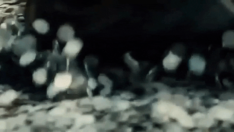 gerardogonzalez-5119 giphygifmaker dracula untold GIF
