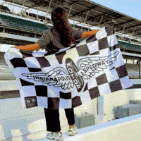 Indy 500 Racing GIF by Flags For Good