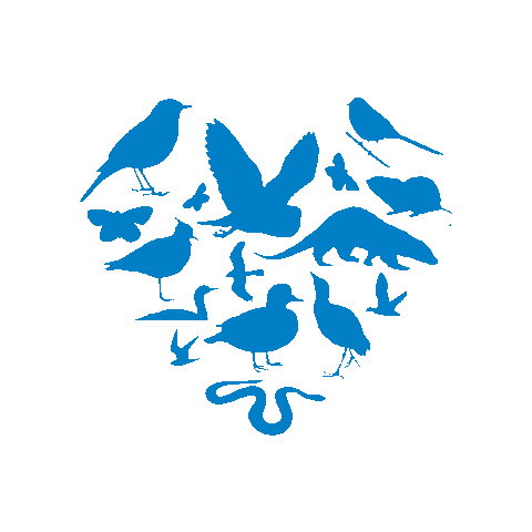 Minsmere Sticker by RSPB