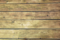 stop motion stopmotion animation GIF by Evan Hilton