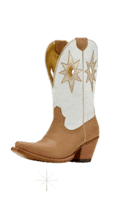 Sparkle Starlight Sticker by Ariat