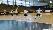 Celebrate Czech Republic GIF by HCB Karviná