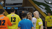 Celebrate Czech Republic GIF by HCB Karviná