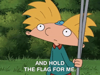 hey arnold nicksplat GIF