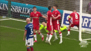 Celebration Congratulations GIF by Cliftonville Football Club