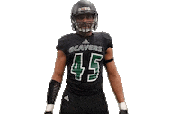 Bsubeaversfb Sticker by Bemidji State Beavers