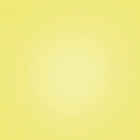 saosalvadoralimentos chicken sextou barbecue frango GIF