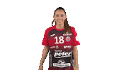handballbundesligafrauen handball thc thüringen hbf Sticker