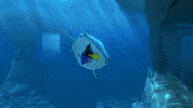 finding dory disney GIF by Disney/Pixar's Finding Dory