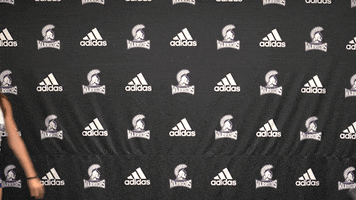 Wsuwarriors GIF by WinonaStateATH