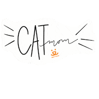 Cat Reaction Sticker by Best Friends Animal Society