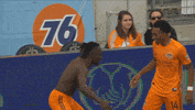 Black Panther Football GIF by Houston Dynamo
