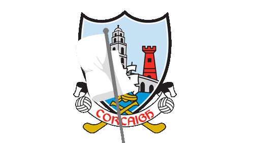Sticker by The GAA - OfficialGAA