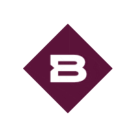 Broncos Brisbane Sticker by BrisbaneBroncos