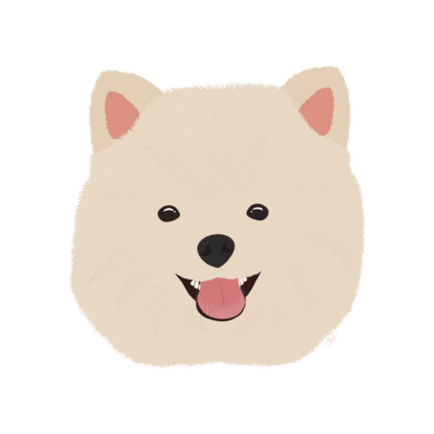 Dog Pomeranian Sticker