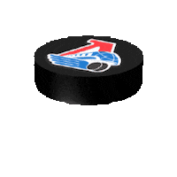 HClokomotiv puck loko lokomotiv локомотив Sticker