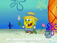 season 6 episode 3 GIF by SpongeBob SquarePants