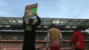 2. bundesliga football GIF by 1. FC Köln