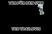 sw-bregenz vorarlberg bregenz swb swbregenz GIF