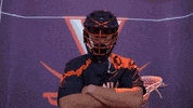 Uvamenslax GIF by Virginia Athletics
