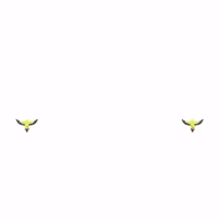 World Cup Soccer GIF by Lincoln Goldfinch Law