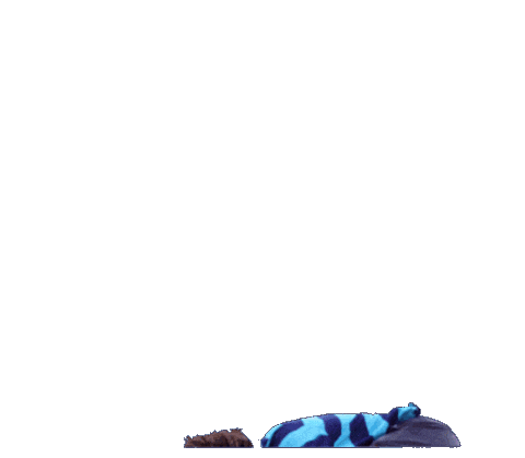 skate skateboarding Sticker by dwindle