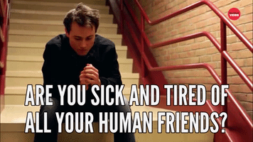 Are You Sick And Tired Of Human Friends?