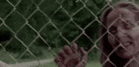 season 3 episode 7 the walking dead twd walking dead GIF