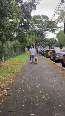 cuteanimalland giphyupload GIF