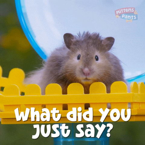 Excuse Me What GIF by Mittens & Pants