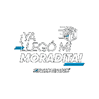 Orthometric insiders orthometric insidersdoctors moradita Sticker