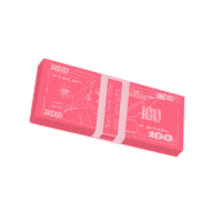 Boss Cash Sticker by Eva NYC