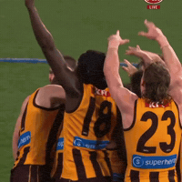 Hawthorn Hawks Afl GIF