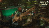 Scared Snake GIF by Death In Paradise
