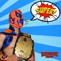 Lucha Libre Wwe GIF by Guerrero Maya