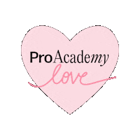 ProAcademy love makeup hairstylist makeupartist Sticker