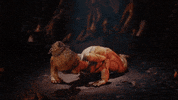 Wtm GIF by Walk The Moon