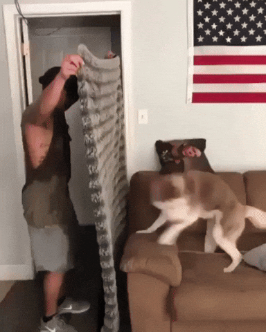 cute aww GIF