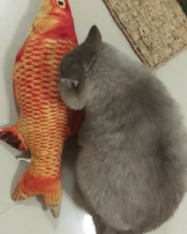 cute aww GIF