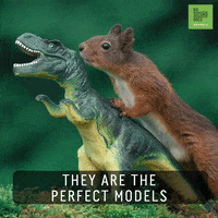 Photography Dinosaur GIF by 60 Second Docs