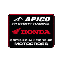 Honda Racing Sticker by ApicoFactoryRacing