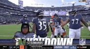 National Football League GIF by NFL