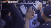 Celebrate New York Yankees GIF by MLB