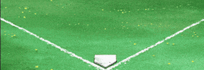 BackyardSportsOfficial baseball backyard sports backyard baseball pablo sanchez GIF