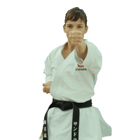 karate ganar Sticker